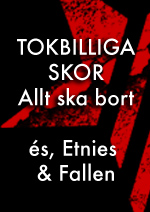 The Zone, MMA t&auml;vling ii G&ouml;teborg
