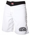 Boardshorts Ice